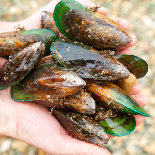 Großmuttertag-22.png