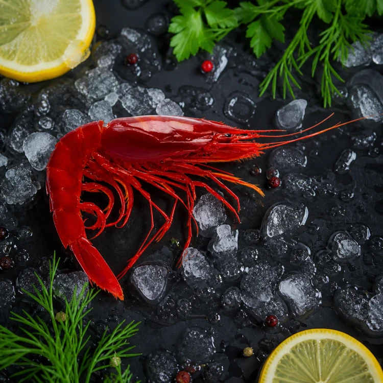 Carabineros-Garnele