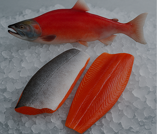 Wildlachs aus Alaska, Filet
